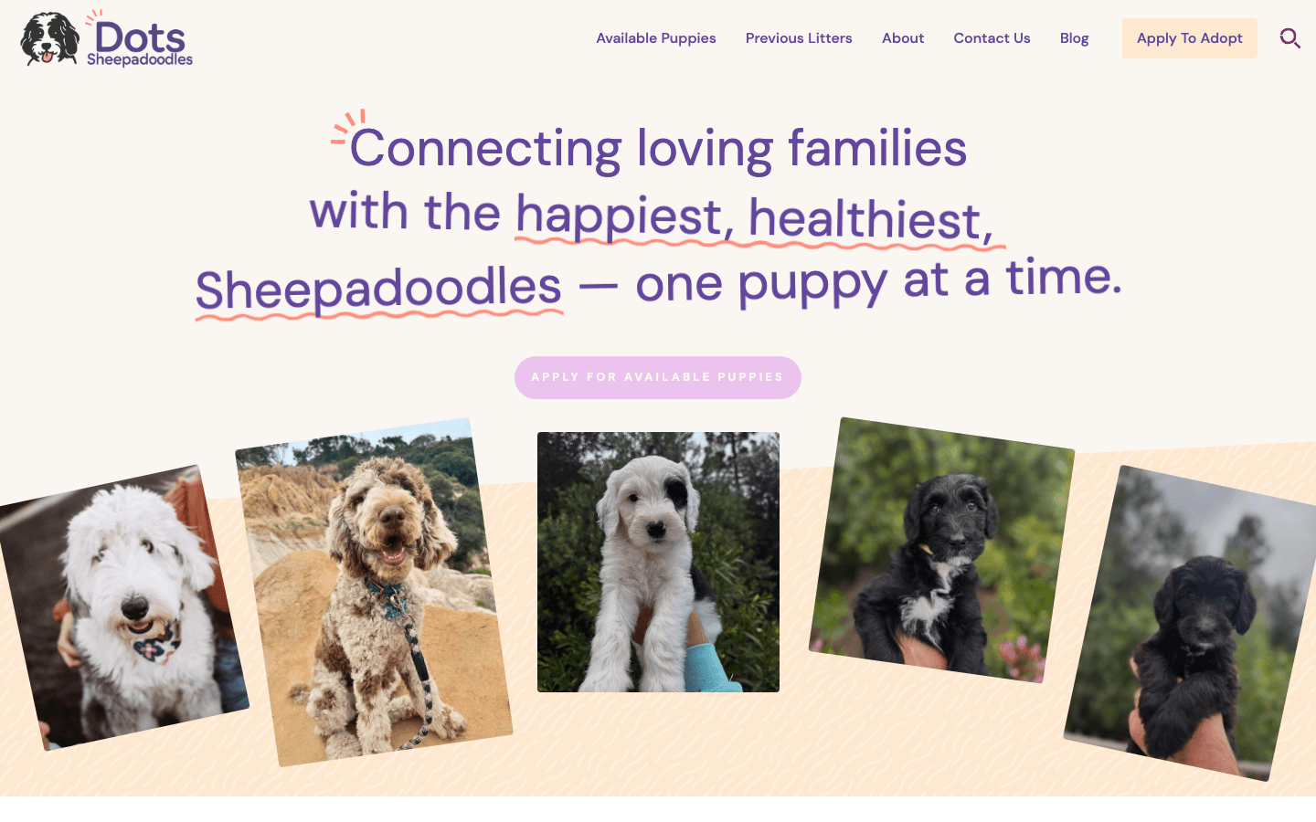 Dot's Sheepadoodles website, desktop